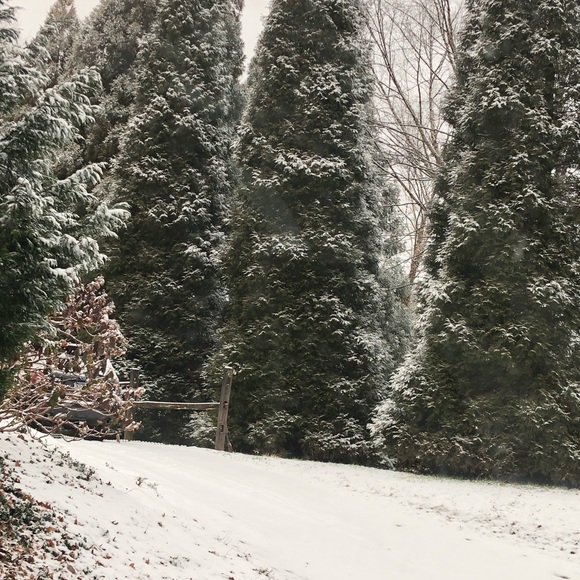 Meet your Posher, Shi - Picture 1 of 1